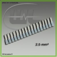 Embouts de fin de cablage 2.5 mm²